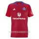 Levné Mužský Fotbalový Dres Hamburger SV Alternativní 2022-23