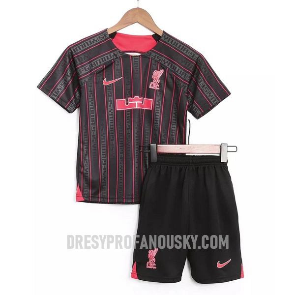 Levné Dětský Liverpool X Lebron James Nike Tréninkový Dresy 2023