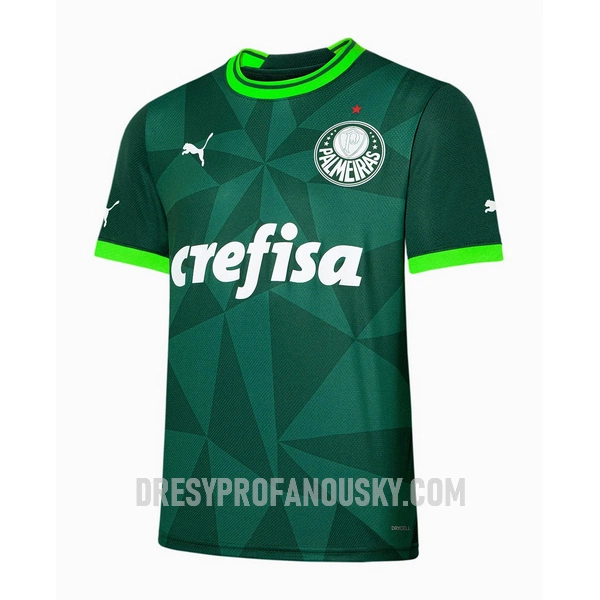 Levné Mužský Fotbalový Dres Palmeiras Domácí 2023-24