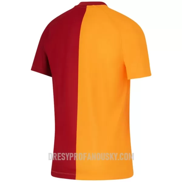 Levné Mužský Fotbalový Dres Galatasaray SK Domácí 2023-24