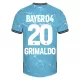 Levné Mužský Fotbalový Dres Bayer 04 Leverkusen Alejandro Grimaldo 20 Alternativní 2023-24