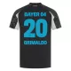 Levné Dětský Fotbalový Dres Bayer 04 Leverkusen Alejandro Grimaldo 20 Alternativní 2024-25