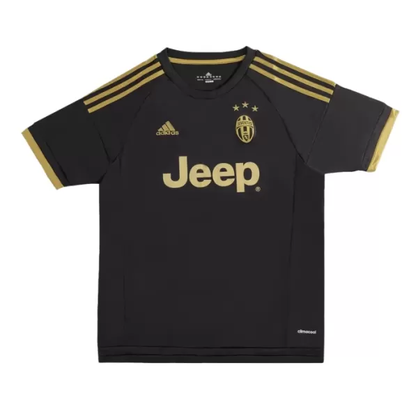 Levné Mužský Fotbalový Dres Juventus 2015-16 Alternativní Retro