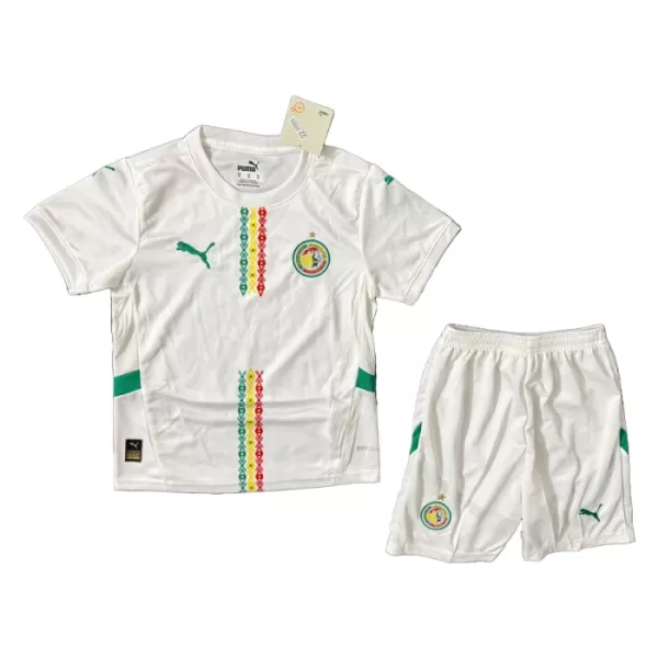 Levné Dětský Fotbalový Dres Senegal Domácí 2024-25